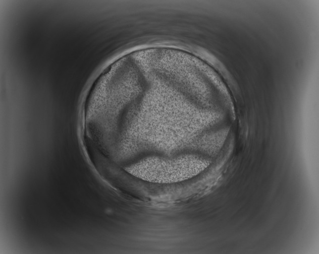 X0000087521520200705251629