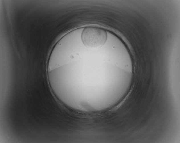 X0000087521521200705251629