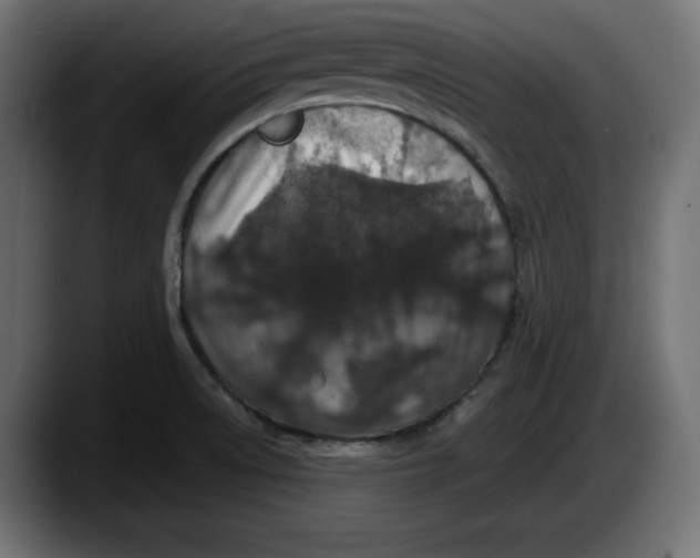 X0000087521522200705251629