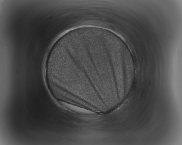 X0000087521523200705251629