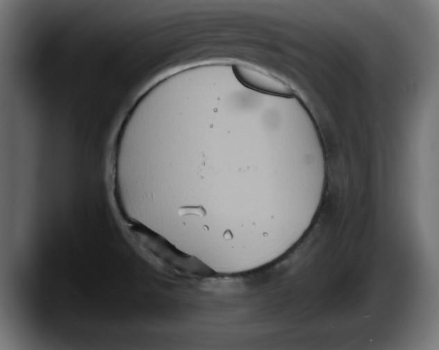 X0000087521526200705251629