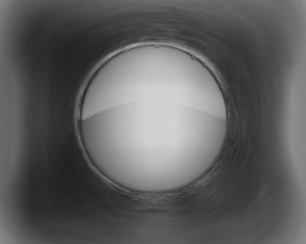 X0000087521527200705251629