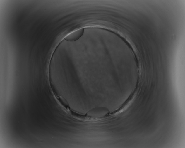 X0000087521529200705251629