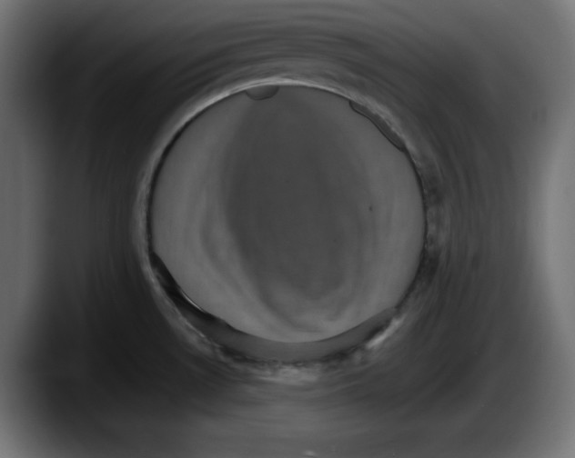 X0000087521530200705251629