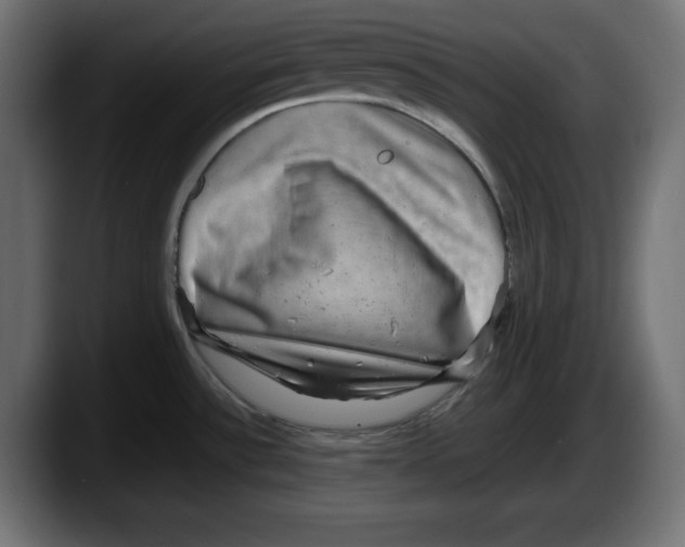 X0000087521532200705251629