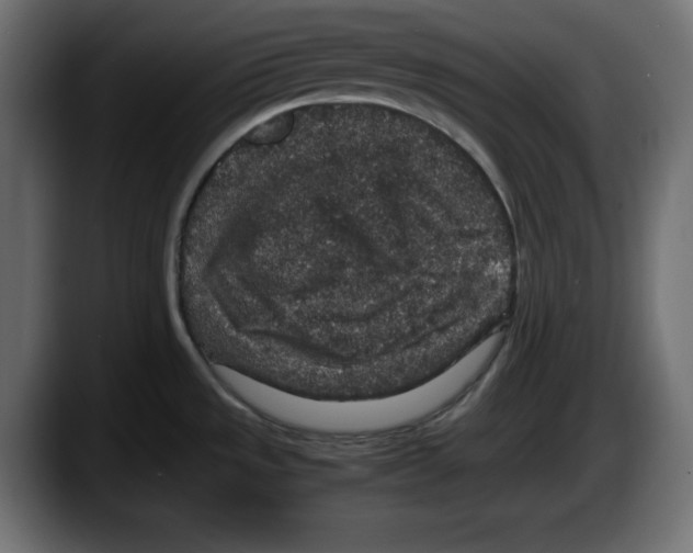 X0000087521533200705251629