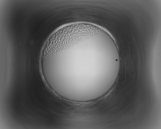 X0000087521534200705251629