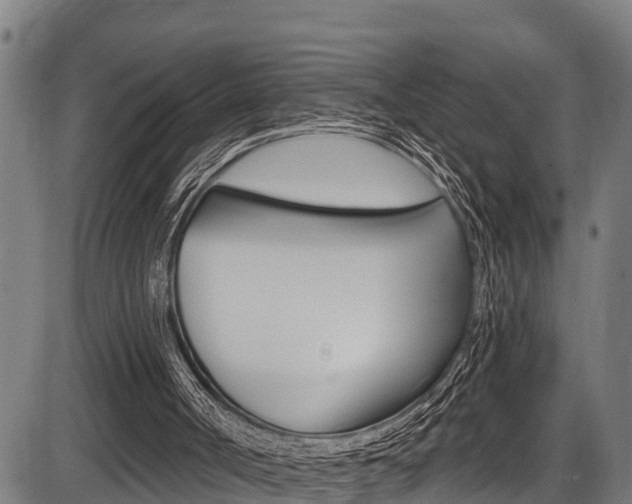 X0000087530002200704270909