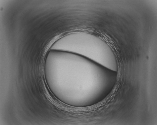 X0000087530003200704270909