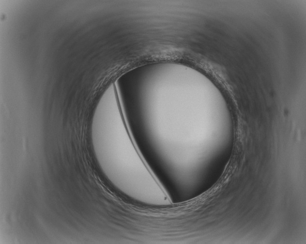 X0000087530017200704270908