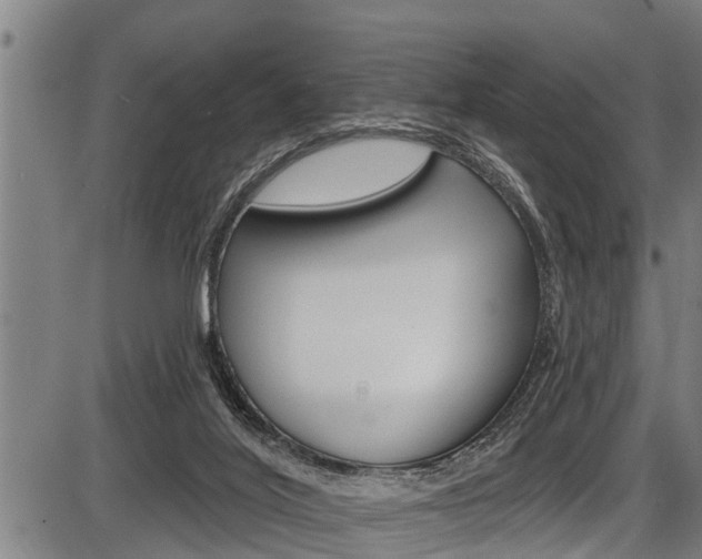 X0000087530020200704270908