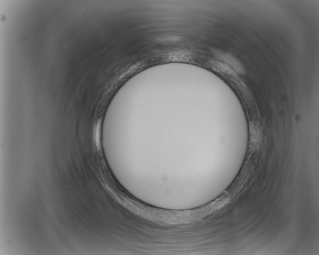X0000087530028200704270908