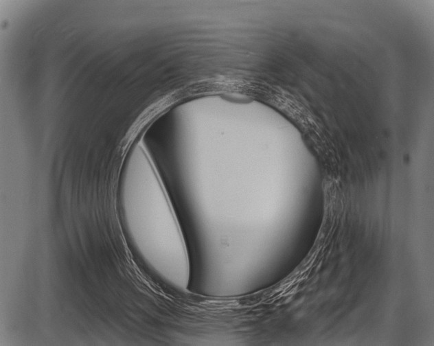 X0000087530051200704270907