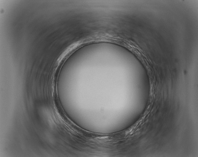 X0000087530054200704270907
