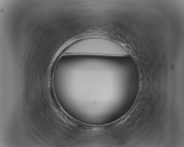 X0000087530056200704270907