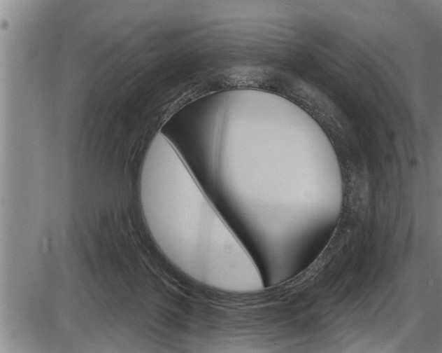 X0000087530075200704270907