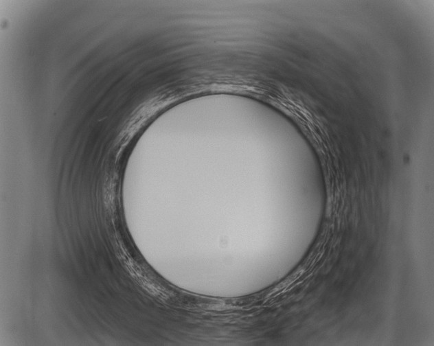 X0000087530098200704270907