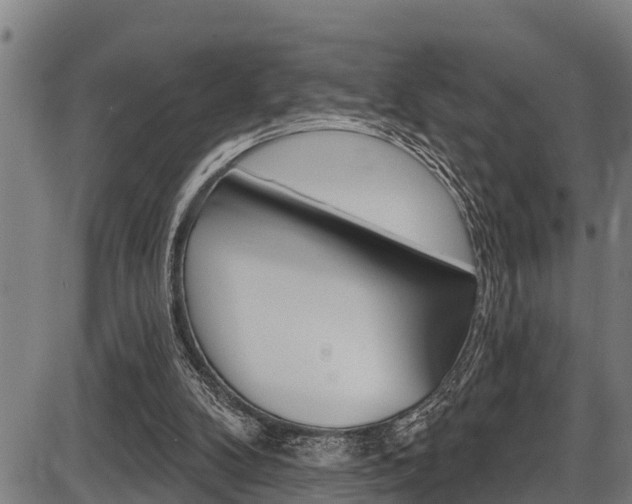 X0000087530104200704270907