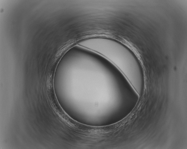 X0000087530105200704270907