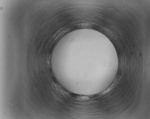X0000087530140200704270906