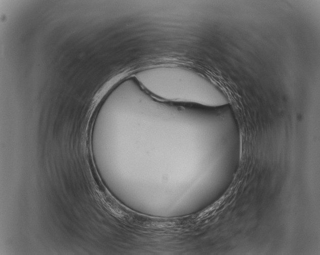 X0000087530147200704270905