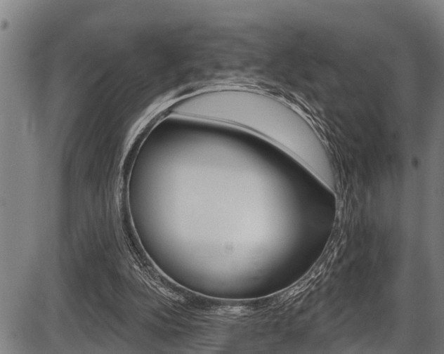 X0000087530152200704270906