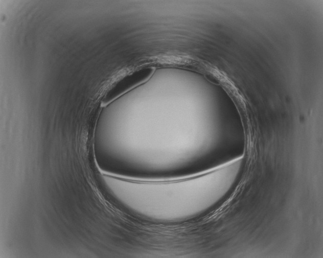 X0000087530201200704270905