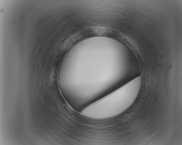 X0000087530221200704270905