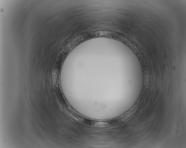 X0000087530222200704270905