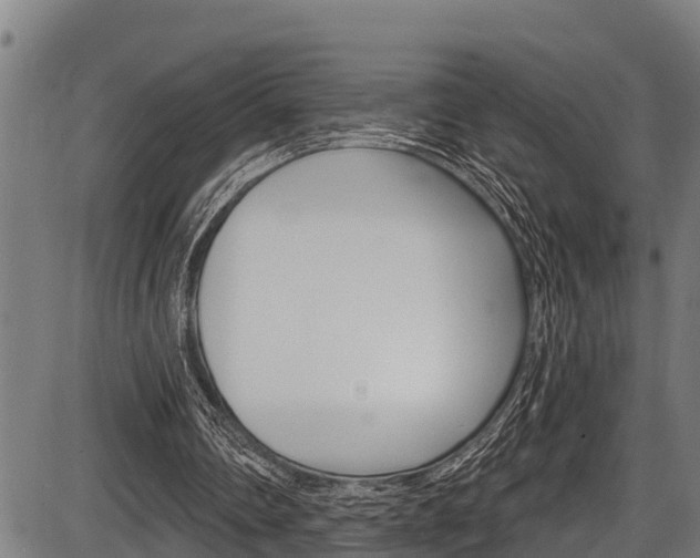 X0000087530290200704270904