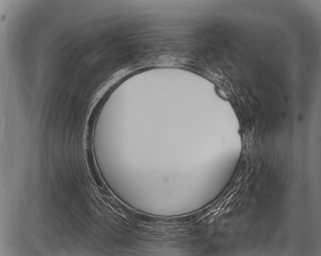 X0000087530292200704270904