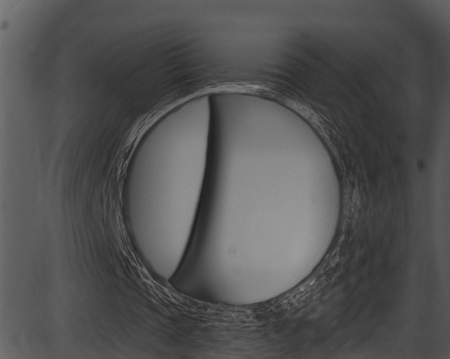 X0000087530337200704270902