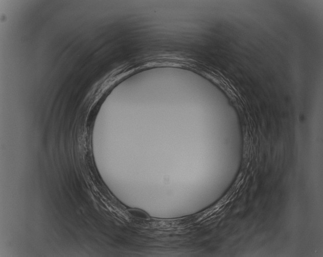 X0000087530338200704270902