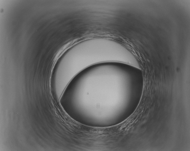 X0000087530340200704270902