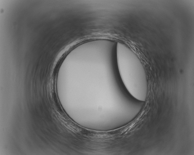 X0000087530342200704270902