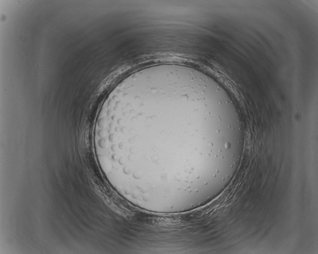 X0000087530347200704270902