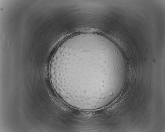 X0000087530351200704270903