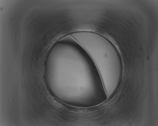 X0000087530385200704270902