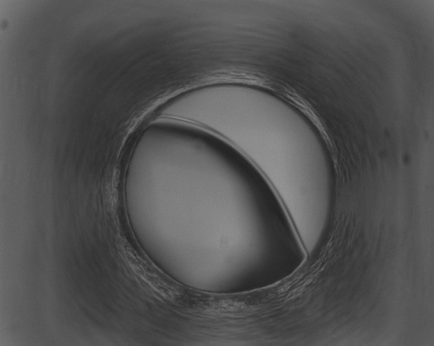 X0000087530387200704270902