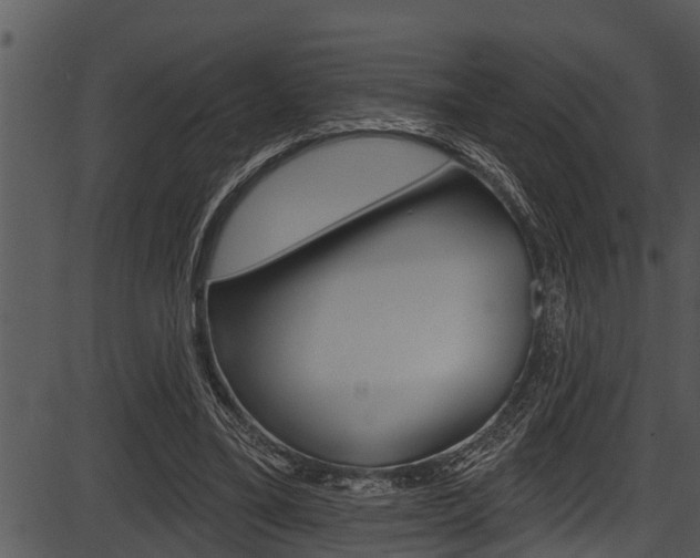X0000087530395200704270902