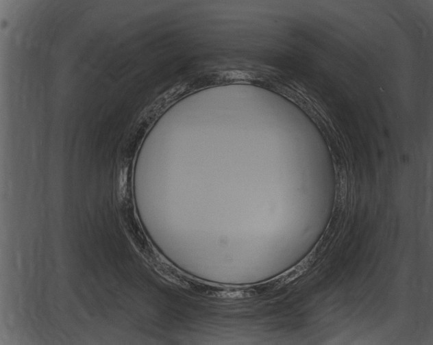 X0000087530406200704270902