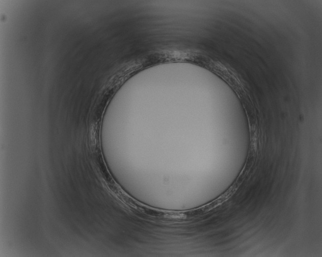 X0000087530410200704270902