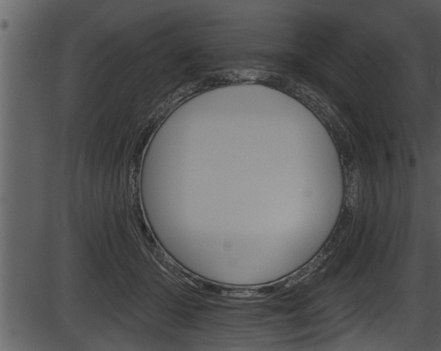 X0000087530414200704270902