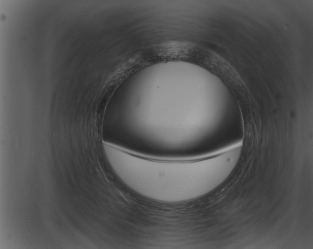 X0000087530416200704270902