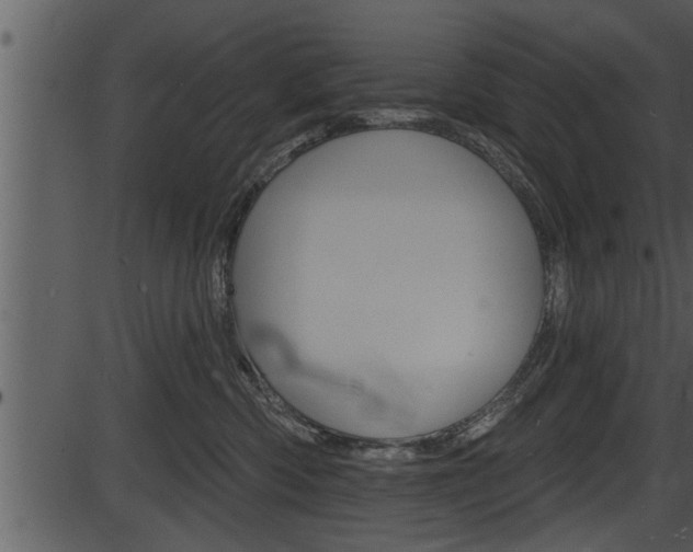 X0000087530426200704270902