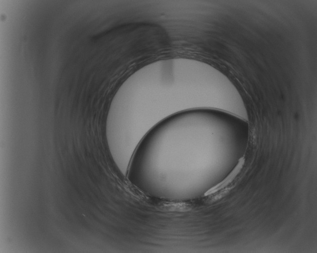X0000087530428200704270902