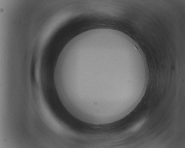 X0000087530431200704270902