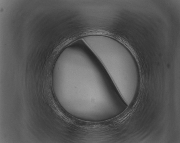 X0000087530433200704270901