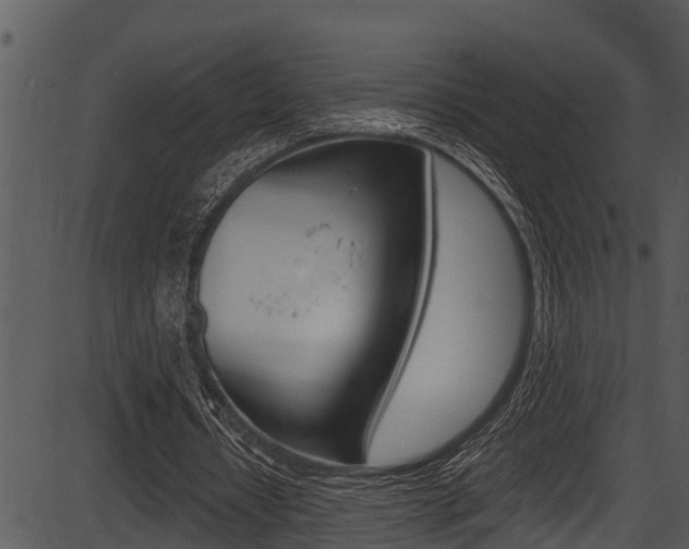 X0000087530434200704270901