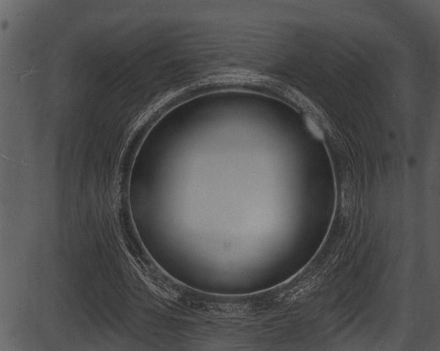X0000087530436200704270901